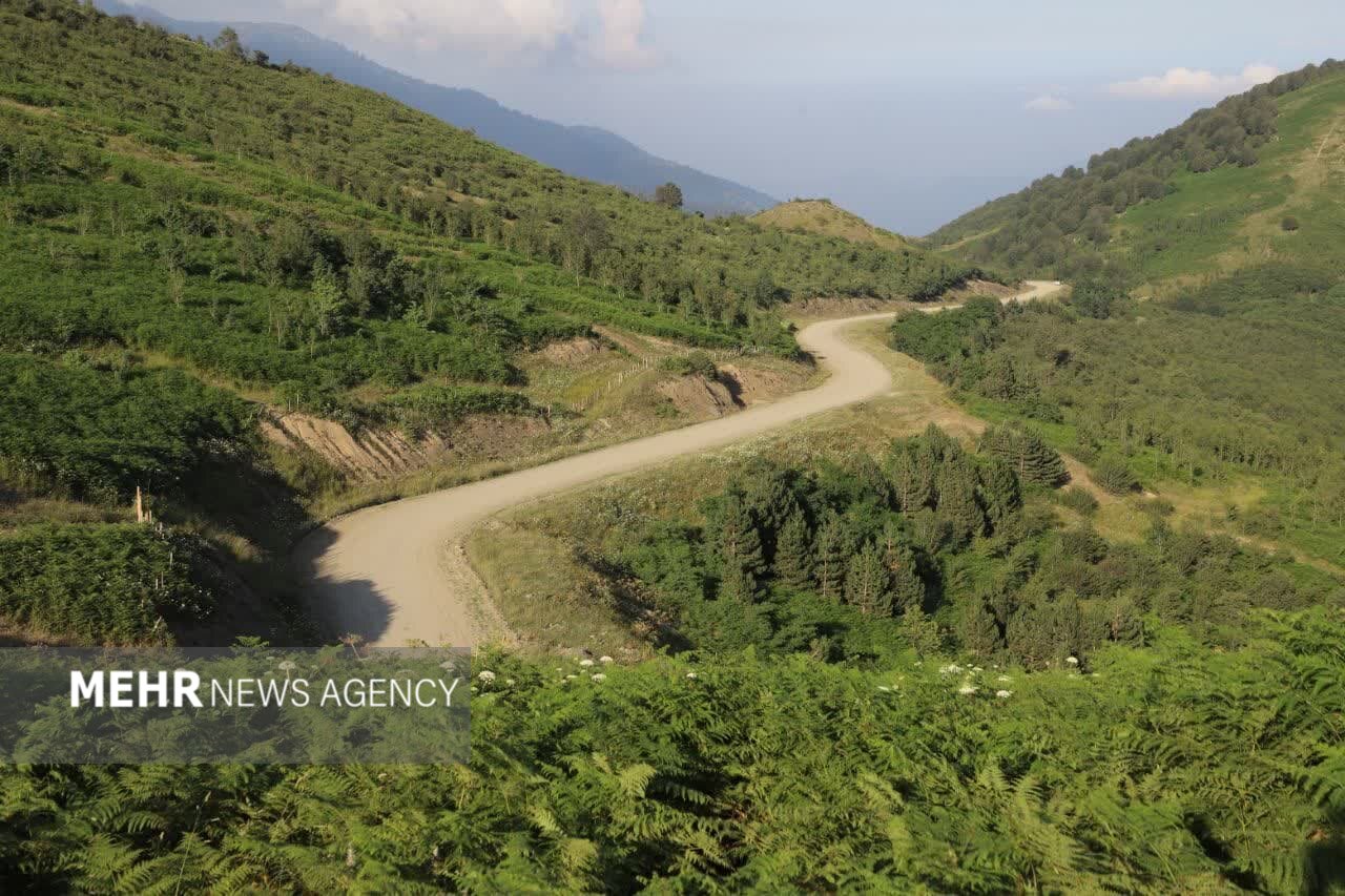 اجرای جاده ماسوله – خلخال منوط به طرح جامع و ارزیابی دقیق است