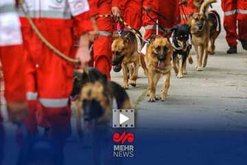 گزارش خبرنگار مهر از مرکز آموزش و نگهداری سگ های تجسس جمعیت هلال احمر