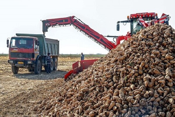 پایان تلخ شیرینی قهستان؛ از طلوع کوتاه کارخانه قند تا خاموشی یک رویا