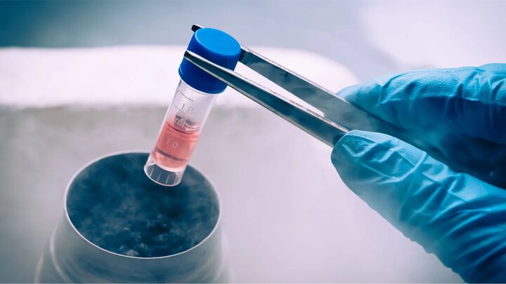 فریز تخمک؛ پلی بین زمان حال و بارداری مطمئن در آینده