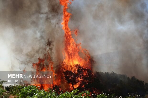 جنگل ابر شاهرود در آتش؛ فریاد خاموش میراث هیرکانی در شعلهها میسوزد!