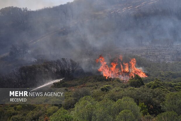 وقوع حریق در جنگل ابر شاهرود؛ امدادگران برای اطفا عازم شدند