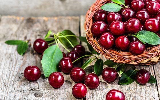 گیلاس؛ آنتیاکسیدانی قوی در سبد میوه تابستانی