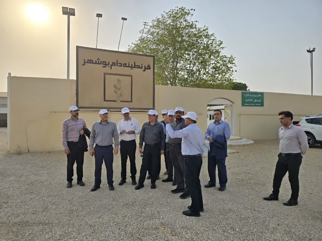 برنامه‌ریزی برای استفاده از قرنطینه دامی در دستور کار قرار دارد