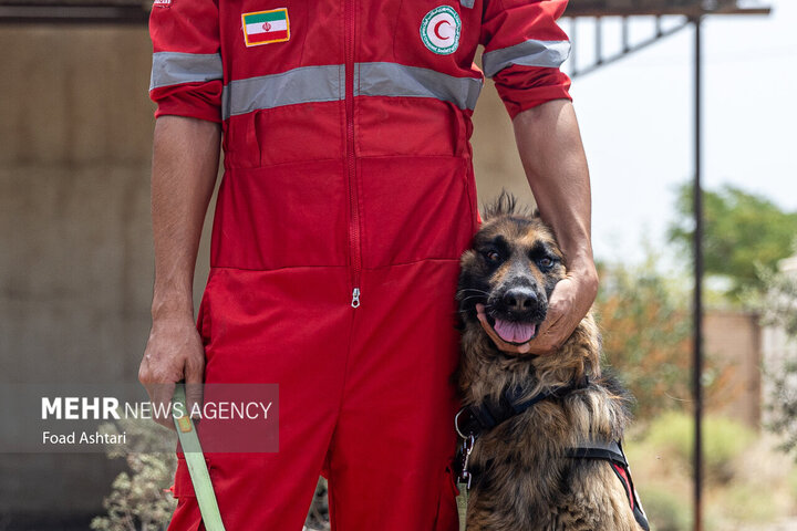 کشف زندگی زیر آوار جنگ؛ نقش تیم آنست در جنگ 12 روزه 3