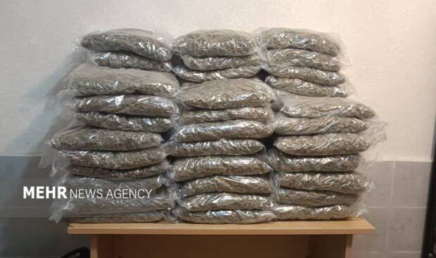 کشف ۶۳ کیلوگرم مواد مخدر از بار صادراتی فلفل دلمه در آستارا