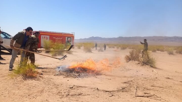 مانور اطفای حریق در تاغزارهای روستای نقاب شهرستان خلیلآباد برگزار شد