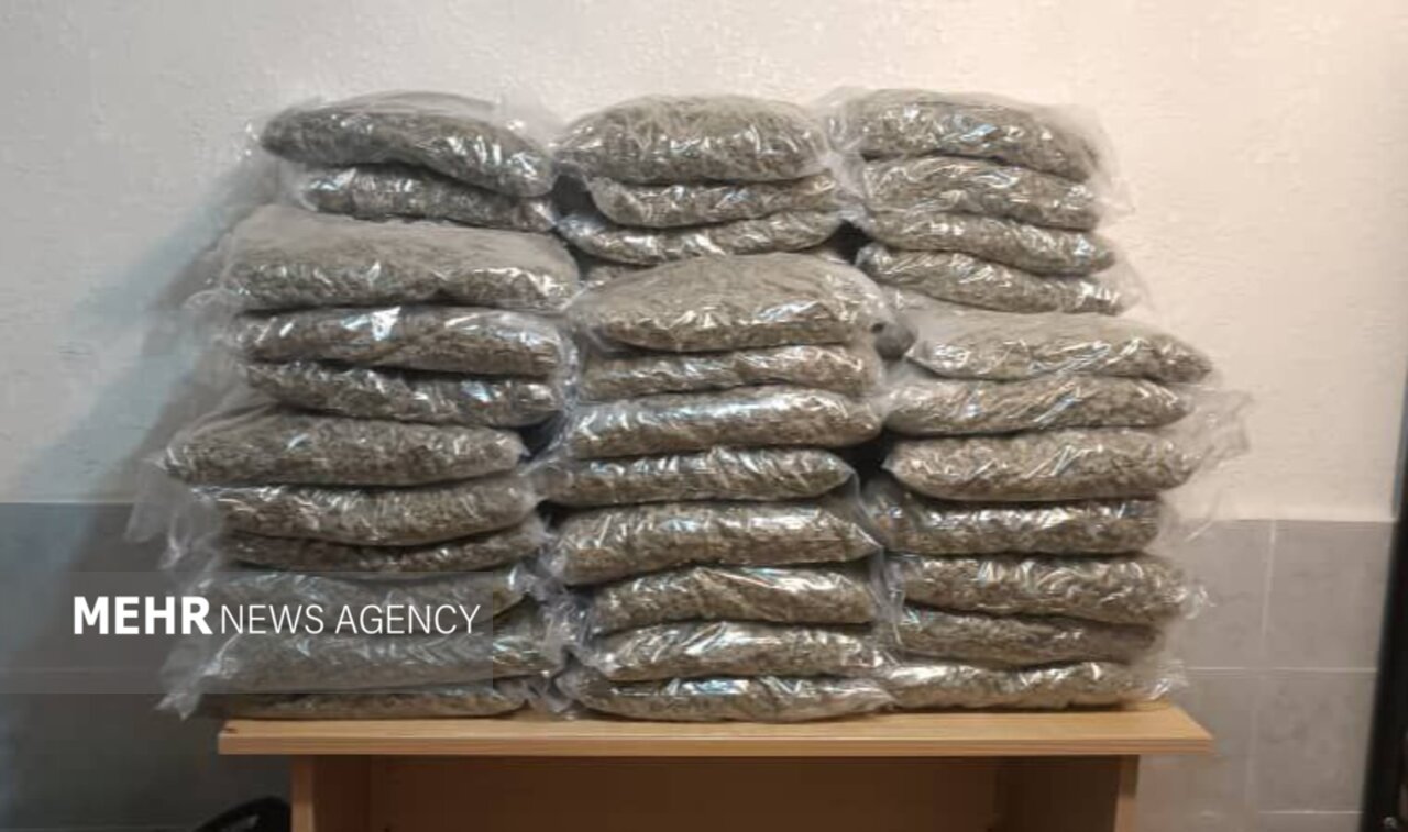 سرهنگ احدی: ۱۰۰ کیلو گرم مواد مخدر از نوع گل در آستارا کشف شد سرهنگ احدی: ۱۰۰ کیلو گرم مواد مخدر از نوع گل در آستارا کشف شد