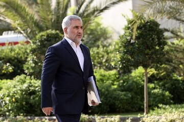 اسماعیلی: معاونت پارلمانی تنها سخنگوی دولت در مجلس است