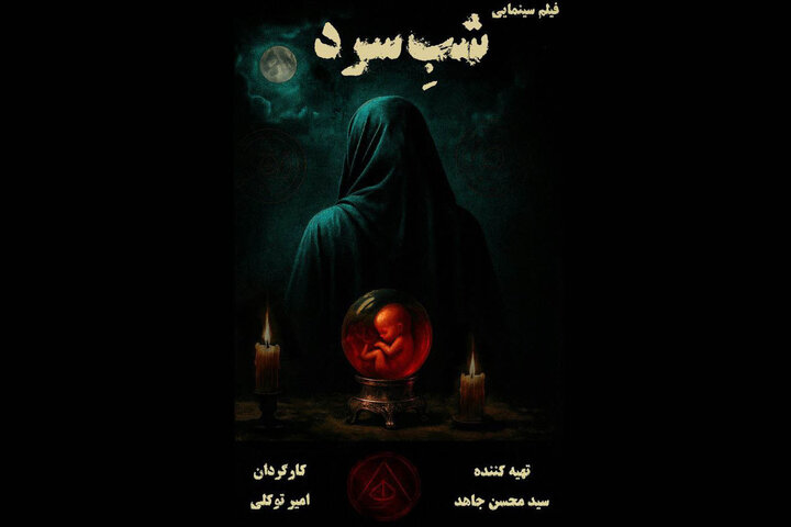 «شب سرد» محصول مشترک ایران و فرانسه شد