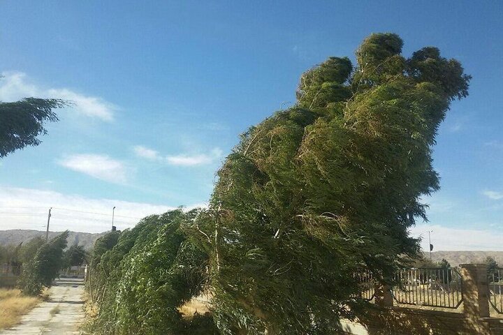 استمرار وزش باد شدید و گرد و خاک در خراسان جنوبی