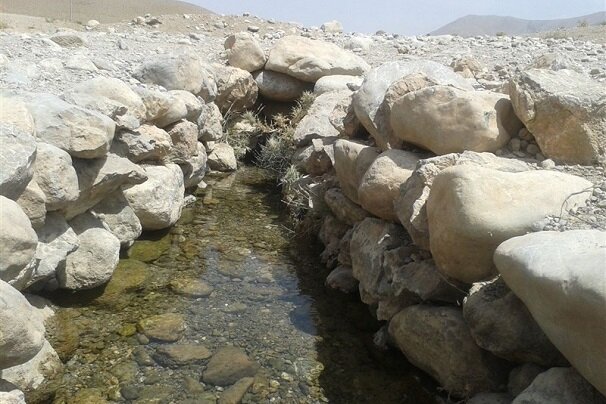 وحش،حيات،خشك،محيط،زيست