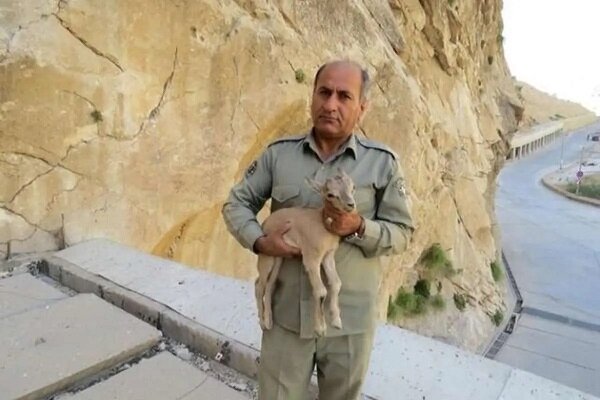 سردار رستگار: پیگیری پرونده شهید هدایت‌الله دیده‌بان با قوت ادامه دارد