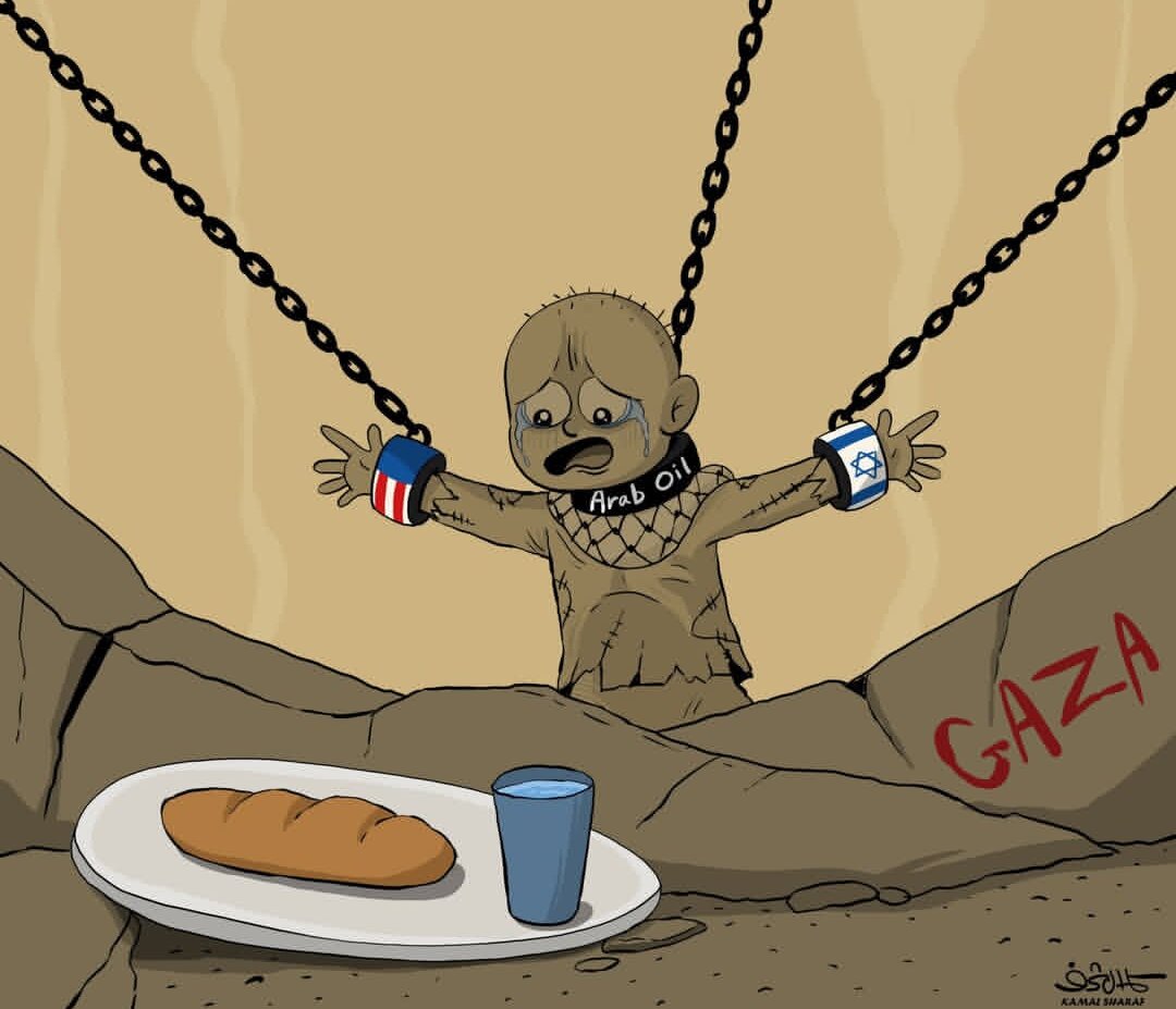 غزه،گرسنگي،نوار،غذا،منطقه،دست،سوءتغذيه،شجاعي،نوزاد