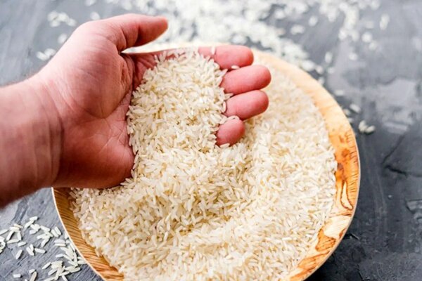 گرانی برنج زیر ذره‌بین نهادهای قضایی؛ برخورد با تخلفات بازار کالا