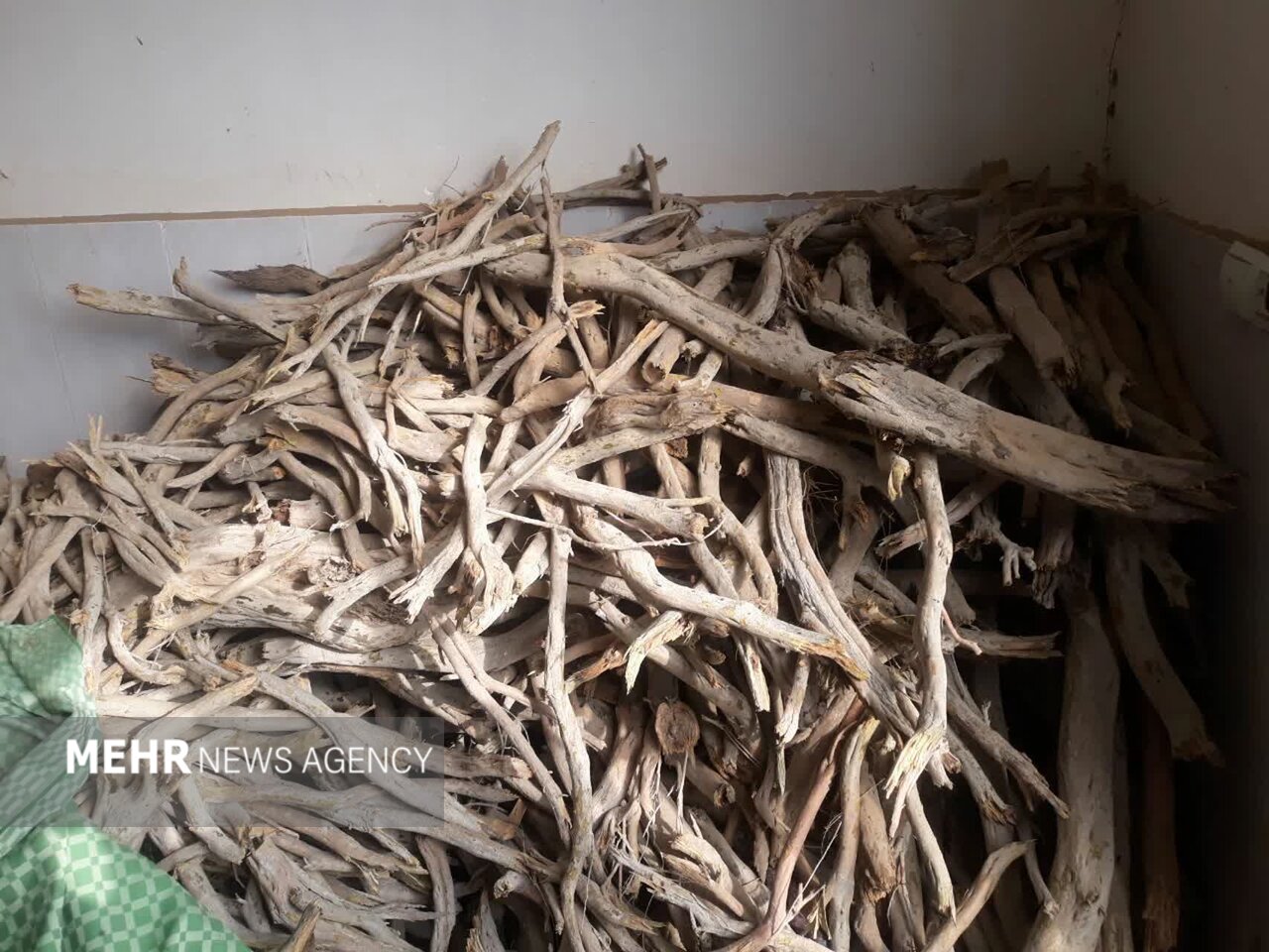 دادستان رودسر: قطع درختان جنگلی خط قرمز دستگاه قضایی است دادستان رودسر: قطع درختان جنگلی خط قرمز دستگاه قضایی است