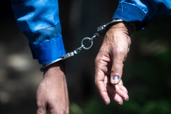 بخشنده: فرد حیوان‌آزار در ایلام دستگیر شد