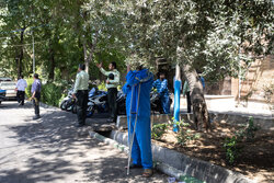 طرح دستگیری سارقان خشن