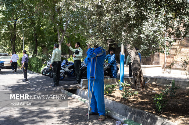 طرح دستگیری سارقان خشن