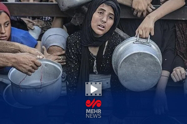 هلال احمر برای ارسال کمکهای بشر دوستانه به غزه اقدام خواهد کرد هلال احمر برای ارسال کمکهای بشر دوستانه به غزه اقدام خواهد کرد