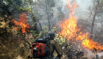 آتش‌سوزی عمدی باغات شیراز؛ زنگ خطری جدی که مدیریت شهر نمی شنود
