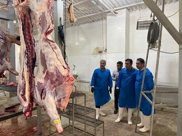 سطح بهداشتی کشتارگاه‌های استان بوشهر افزایش یابد