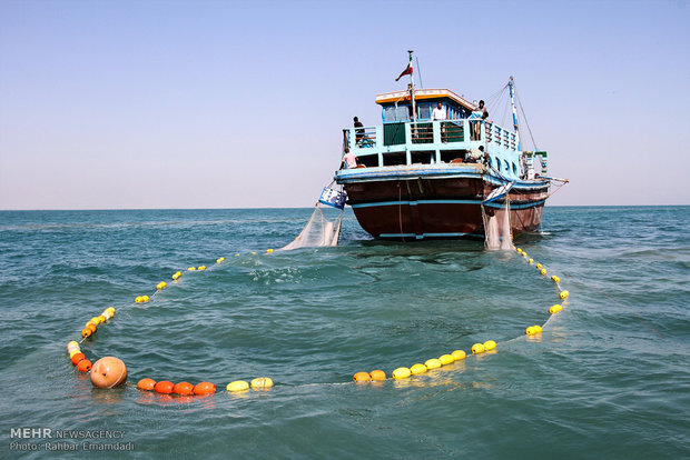 بوشهر فرصتی بینظیر برای جذب سرمایههای خارجی؛ نگینی در جوار خلیج فارس