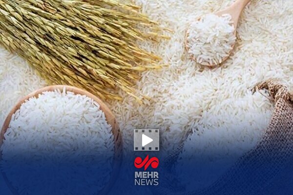 علت افزایش قیمت برنج چه بود؟ علت افزایش قیمت برنج چه بود؟