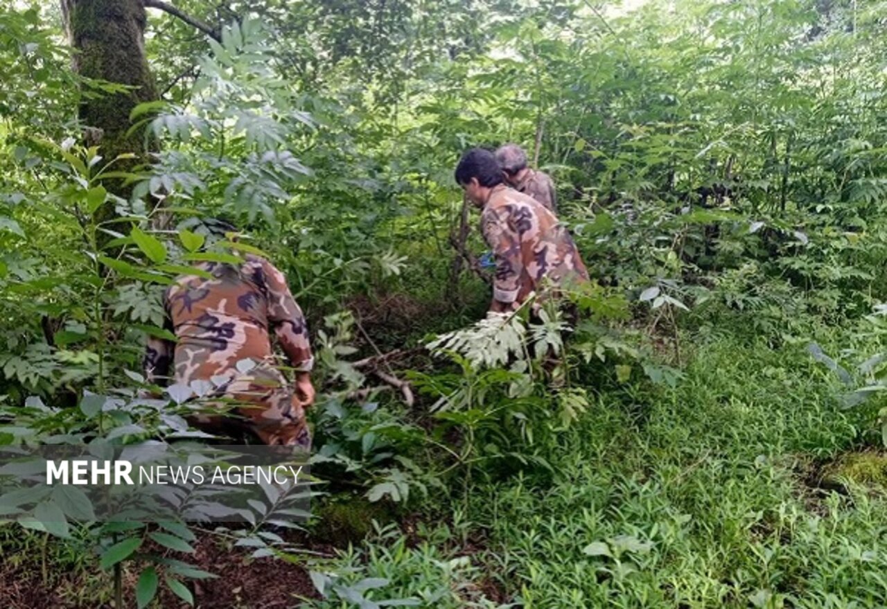 برزگر: حکم قضایی رفع تصرف ۲۵۰۰ مترمربع اراضی ملی در رحیمآباد اجرا شد برزگر: حکم قضایی رفع تصرف ۲۵۰۰ مترمربع اراضی ملی در رحیمآباد اجرا شد