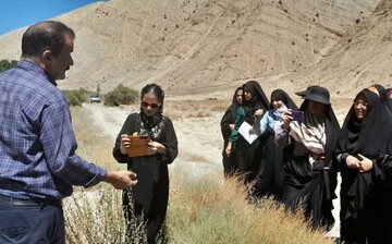 ۲۳۰ هکتار مزارع دامغان زیر کشت گیاهان دارویی است
