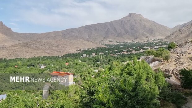 «ده بالا»؛ نگین سبز کویر در دامنه شیرکوه