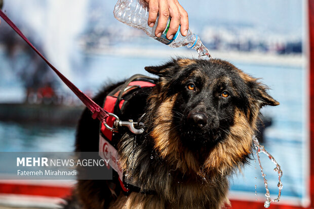 آیین بدرقه ناوگان امدادی و درمانی جمعیت هلالاحمر - اربعین ۱۴۰۴