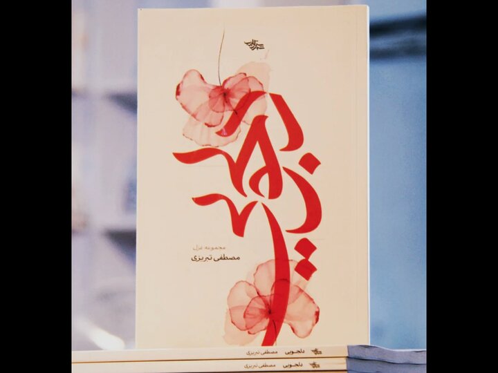 در «دلجویی» به خودم دروغ نگفتهام؛ بین شعر عاشقانه و آیینی تفاوتی نیست 2