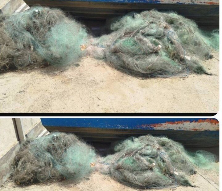 جمعآوری ۱۵۰۰ متر تور صید غیرمجاز در تالاب بینالمللی زریبار جمعآوری ۱۵۰۰ متر تور صید غیرمجاز در تالاب بینالمللی زریبار