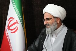پیاده‌روی اربعین ادامه راهبرد عاشورا محسوب می‌شود