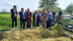 آستانه‌ اشرفیه با مدیریت منسجم از تنش آبی عبور کرد