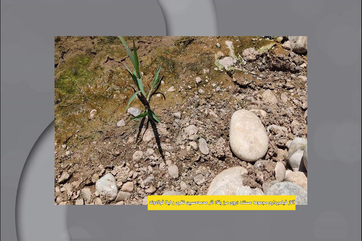 آغاز فیلمبرداری مستند «روی مرز بقا»