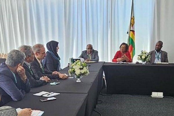وزیر محیطزیست زیمبابوه خواستار گسترش همکاری با ایران شد