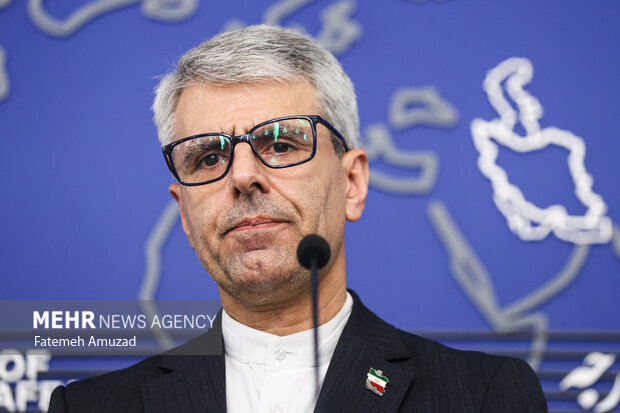 نشست خبری سخنگوی وزارت امور خارجه