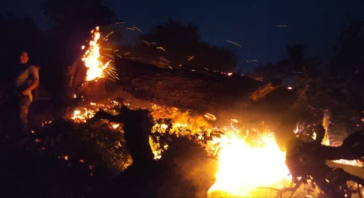 آتش سوزی یک ساختمان مسکونی در جنوب غرب تهران؛۴عضو خانواده جان باختند آتش سوزی یک ساختمان مسکونی در جنوب غرب تهران؛۴عضو خانواده جان باختند
