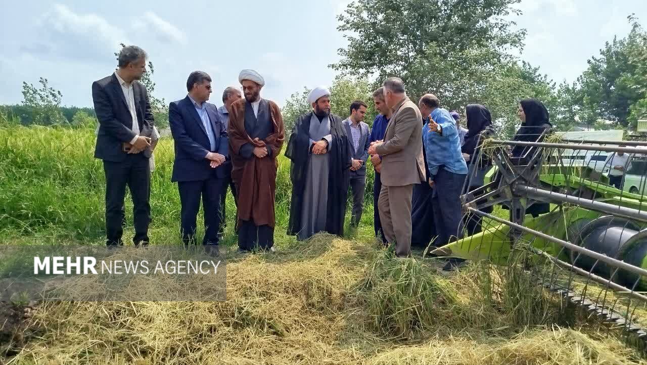 آستانه‌ اشرفیه با مدیریت منسجم از تنش آبی عبور کرد