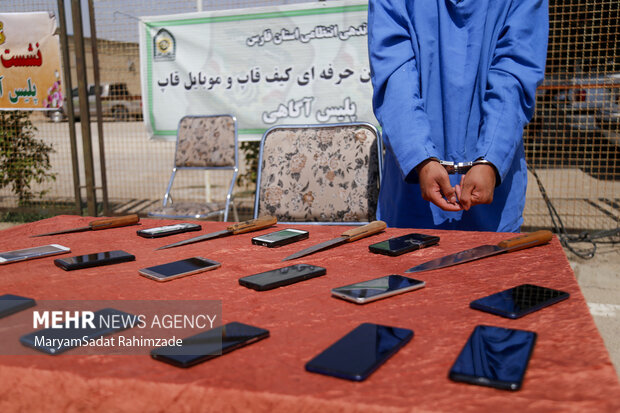 کشفیات پلیس فارس