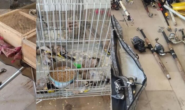 دستهای خالیِ زاگرس؛ «قالیکوه» را شکارچیان میبافند! دستهای خالیِ زاگرس؛ «قالیکوه» را شکارچیان میبافند!