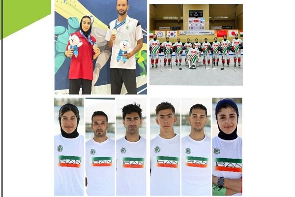 مدال،اسكيت،برنز،رده،نقره،بزرگسالان
