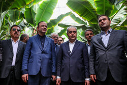 بازدید دبیر عالی مناطق آزاد از پروژه های ارس