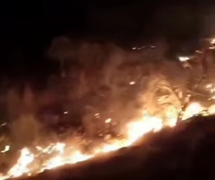 مراتع شهرستان دشتستان دچار حریق شد