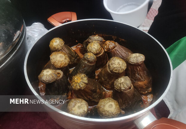 دست در دست تا رفح؛ روایتی از قلبهای گرهخورده از تهران تا غزه