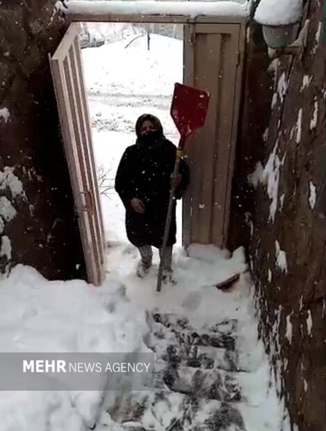 فرزندانم می گویند سرویسخبریی را کنار بگذار؛ رسانه همواره انتخاب من است