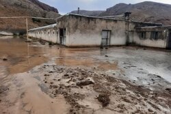 سیلاب فیروزکوه به باغات و مسکن شهری خسارت زد