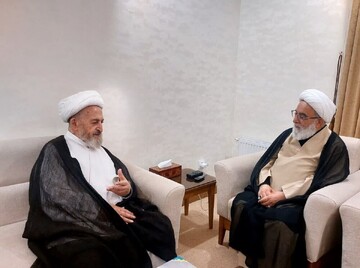 تاکید  آیت‌الله سبحانی بر تقویت دروس آزاد در حوزه‌های علمیه